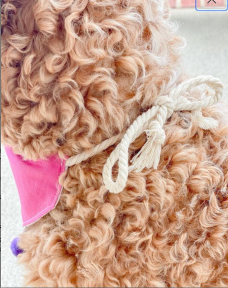 Charleston Rainbow Row (Pink) Reversible Dog Bandana with Soft Macrame Cord Tie Closure. Free Personalization Available