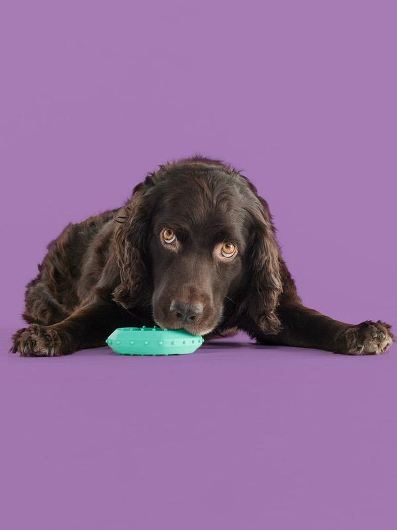 Yomp Chillchew Freezable Dog Toy – Cooling Chew Toy for Soft and Medium Chewers, Frozen Treat and Teething Toy – Made of Pet-Safe, Non-Toxic Silicone
