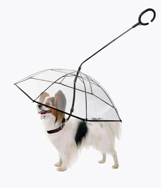 Dog Umbrella