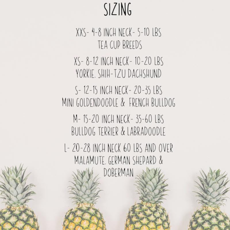 Charleston Rainbow Row (Pink) Reversible Dog Bandana with Soft Macrame Cord Tie Closure. Free Personalization Available