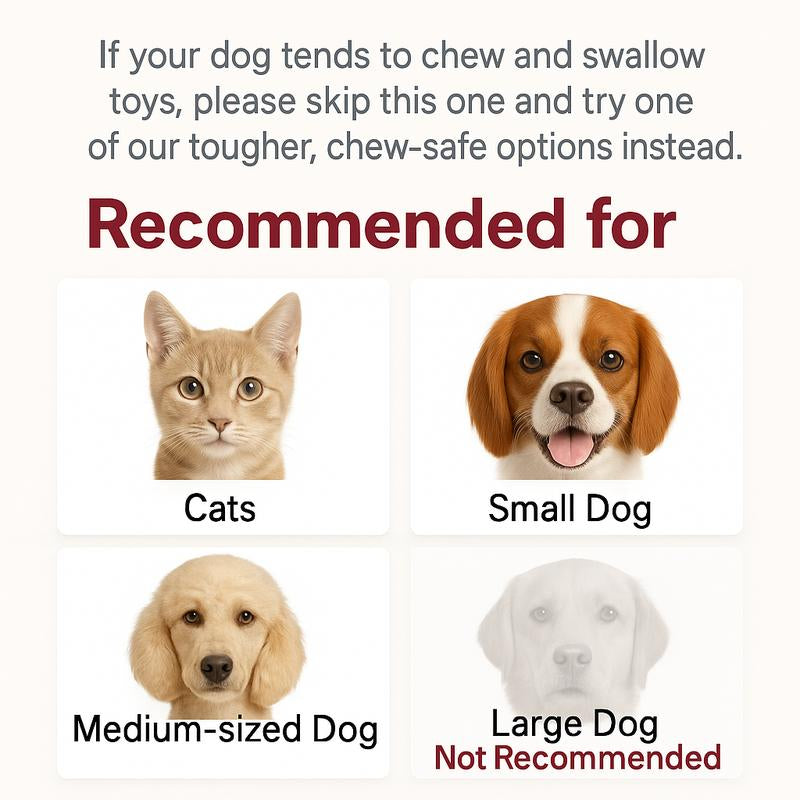 Mizusu Interactive Cat & Dog Teaser Toy with Two Additional Tails, Kitten Rolling Ball Toy, Pet Supplies, Dog & Cat Accessories Cute Dog Toys