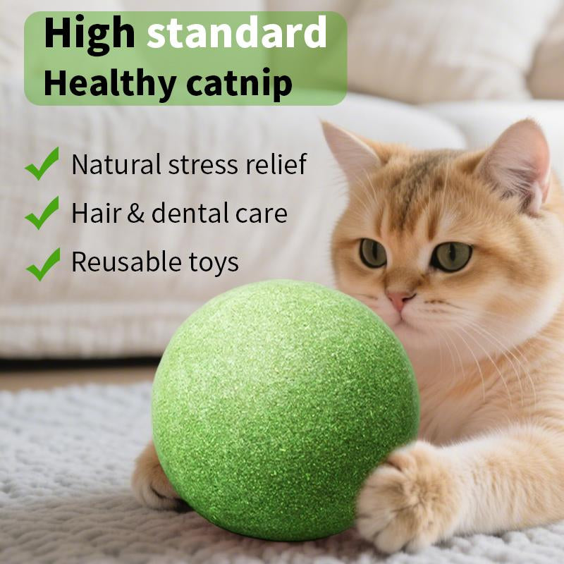 Cats Can'T Resist It: Natural Giant Catnip Ball - 10Cm, Safe & Edible, Regulates Intestinal Health, for Cats to Chew and Play With, a Super Fun Toy