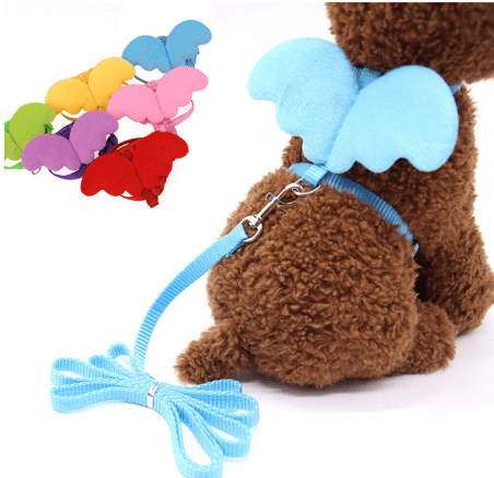 Little Angel Wings Pet Leash