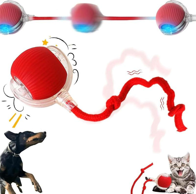 Electric Cat Toy Ball, Rechargeable Dog Ball Toy, Interactive Cat Teaser Toy, Automatic Rolling Ball Toy, Gift for Pets, Pet Supplies, Dog & Cat Accessories, Valentine'S Day Gift