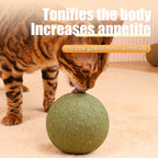 Cats Can'T Resist It: Natural Giant Catnip Ball - 10Cm, Safe & Edible, Regulates Intestinal Health, for Cats to Chew and Play With, a Super Fun Toy