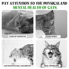 Cats Can'T Resist It: Natural Giant Catnip Ball - 10Cm, Safe & Edible, Regulates Intestinal Health, for Cats to Chew and Play With, a Super Fun Toy