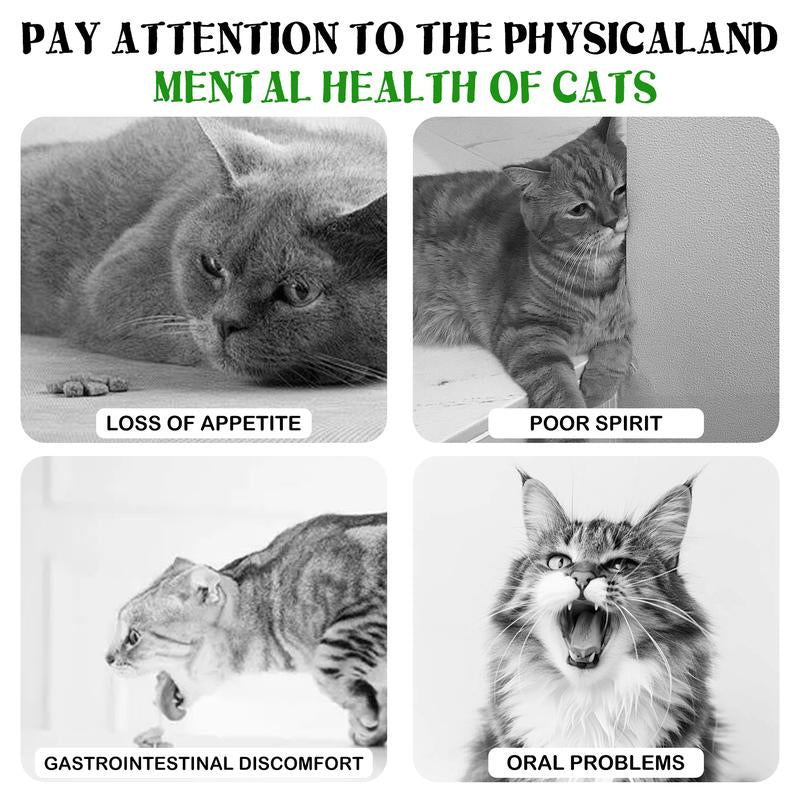 Cats Can'T Resist It: Natural Giant Catnip Ball - 10Cm, Safe & Edible, Regulates Intestinal Health, for Cats to Chew and Play With, a Super Fun Toy