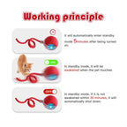 Mizusu Interactive Cat & Dog Teaser Toy with Two Additional Tails, Kitten Rolling Ball Toy, Pet Supplies, Dog & Cat Accessories Cute Dog Toys