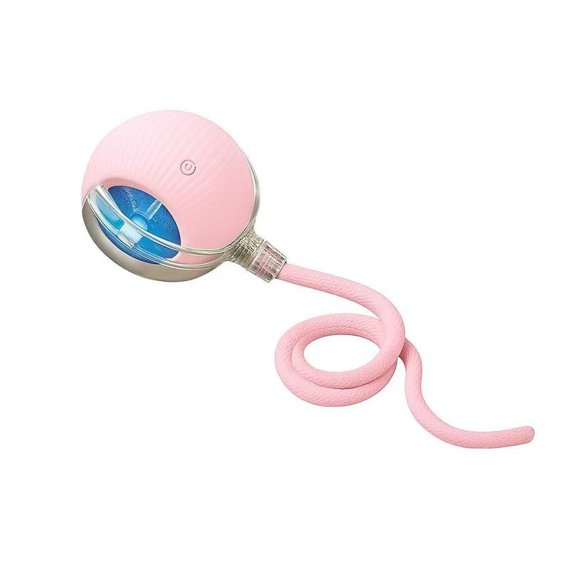 Mizusu Interactive Cat & Dog Teaser Toy with Two Additional Tails, Kitten Rolling Ball Toy, Pet Supplies, Dog & Cat Accessories Cute Dog Toys