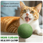Cats Can'T Resist It: Natural Giant Catnip Ball - 10Cm, Safe & Edible, Regulates Intestinal Health, for Cats to Chew and Play With, a Super Fun Toy