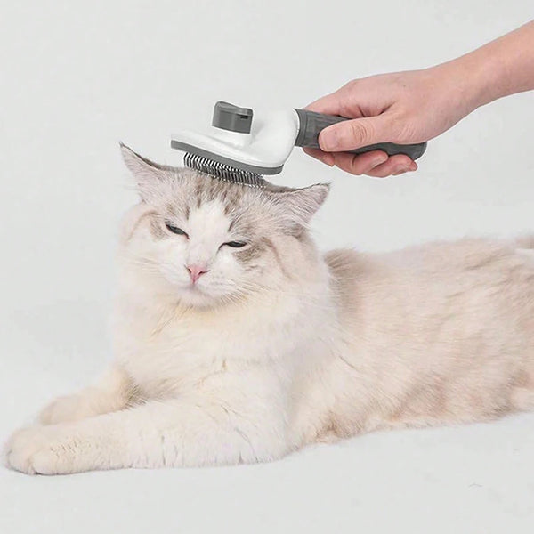 Cat Hair Removal Beauty Brush