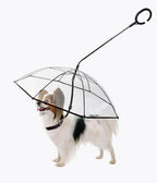 Dog Umbrella