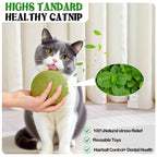 Cats Can'T Resist It: Natural Giant Catnip Ball - 10Cm, Safe & Edible, Regulates Intestinal Health, for Cats to Chew and Play With, a Super Fun Toy
