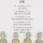 Charleston Rainbow Row (Pink) Reversible Dog Bandana with Soft Macrame Cord Tie Closure. Free Personalization Available