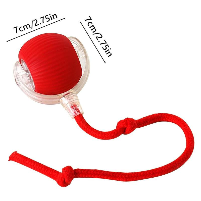 Electric Cat Toy Ball, Rechargeable Dog Ball Toy, Interactive Cat Teaser Toy, Automatic Rolling Ball Toy, Gift for Pets, Pet Supplies, Dog & Cat Accessories, Valentine'S Day Gift