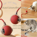 Interactive Cat Toy Ball: Automatically Rolling Electric Ball, Suitable for Indoor Cats/Dogs, Brings the Fun of Chasing Tails. Motion Sensing, Keeps Pets Busy and Enjoys Rich Sports Stimulation. Great Pet Gifts/Supplies.