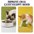 Cats Can'T Resist It: Natural Giant Catnip Ball - 10Cm, Safe & Edible, Regulates Intestinal Health, for Cats to Chew and Play With, a Super Fun Toy